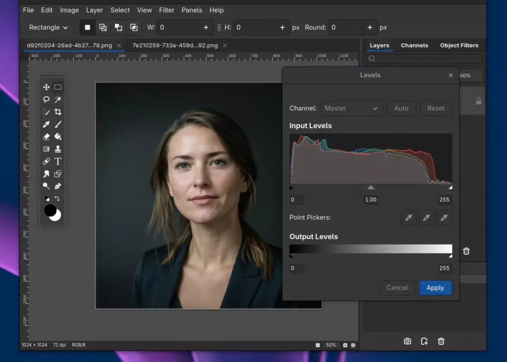 Interface de FogPanther, pour la retouche photo et alternative à GIMP